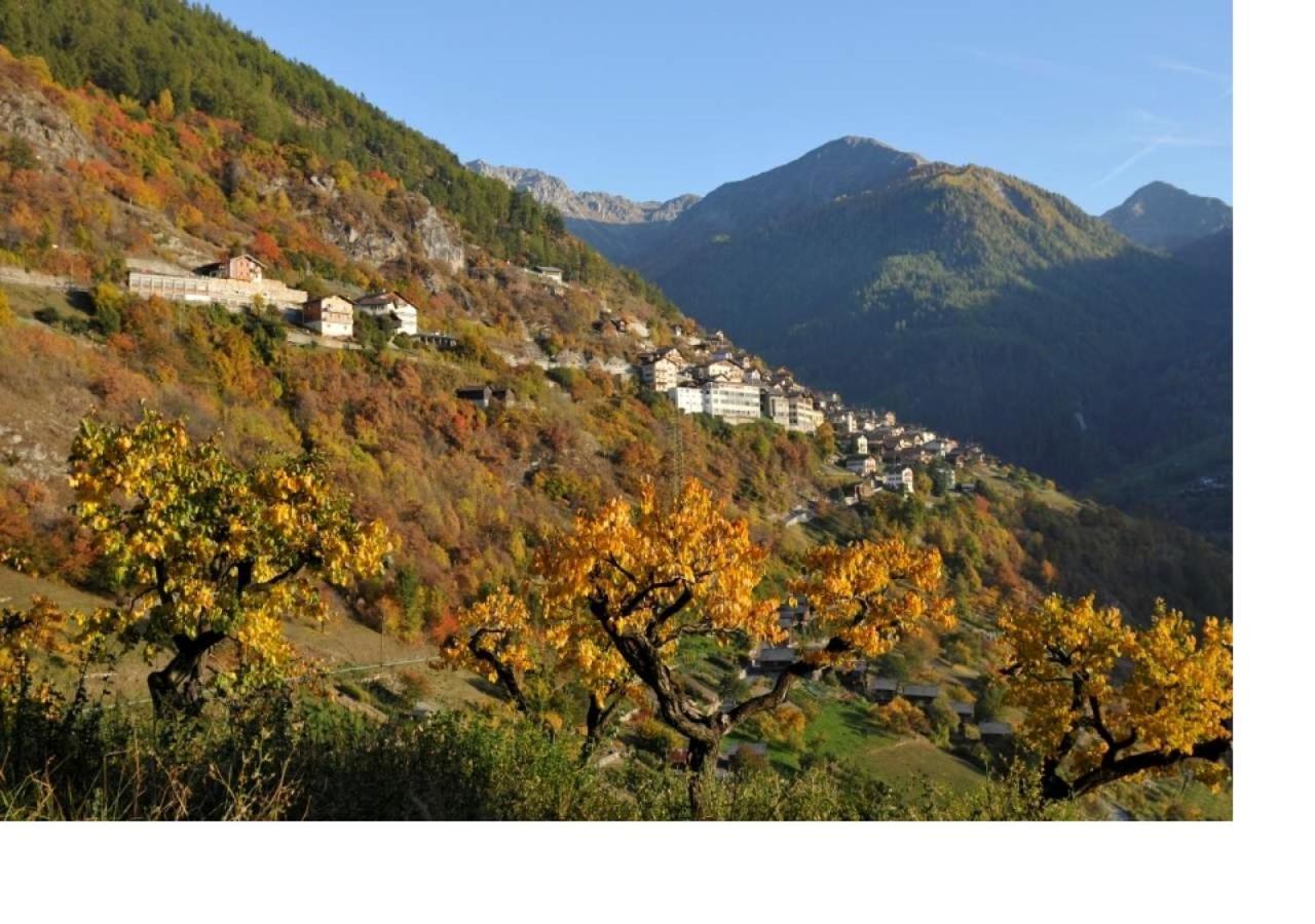 Le Cocon Du Catogne Proche Martigny Verbier - Netflix - Valettes 외부 사진