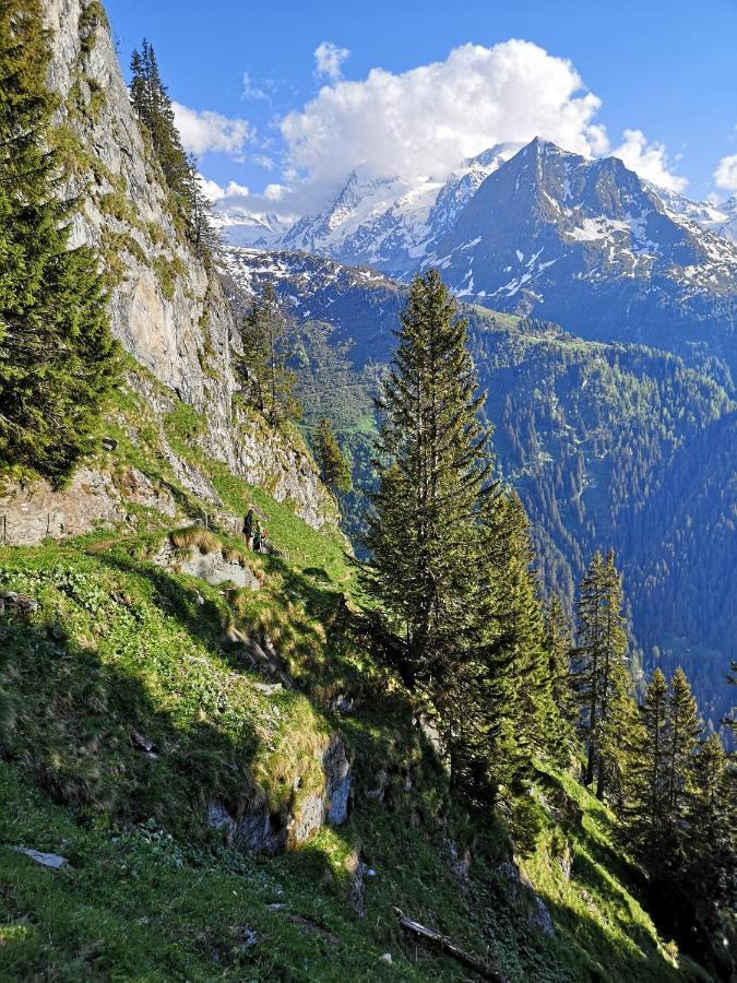 Le Cocon Du Catogne Proche Martigny Verbier - Netflix - Valettes 외부 사진