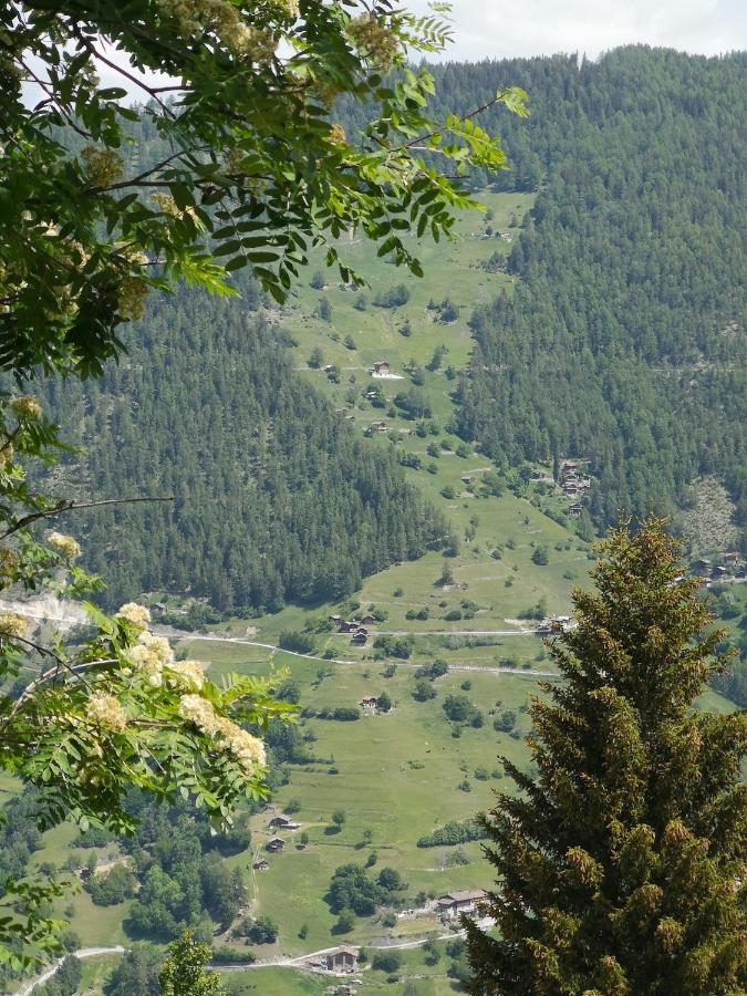 Le Cocon Du Catogne Proche Martigny Verbier - Netflix - Valettes 외부 사진